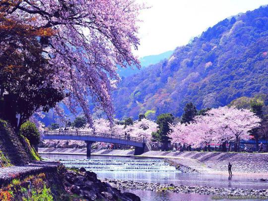 Spring Nature Wallpapers