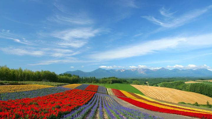 4K Nature Wallpaper Spring Japan (45+ images)