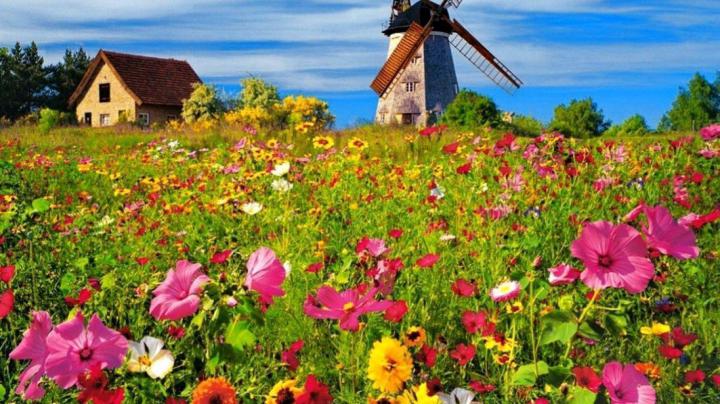 Spring Nature Wallpapers
