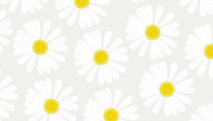 Pinterest Wallpaper Backgrounds -