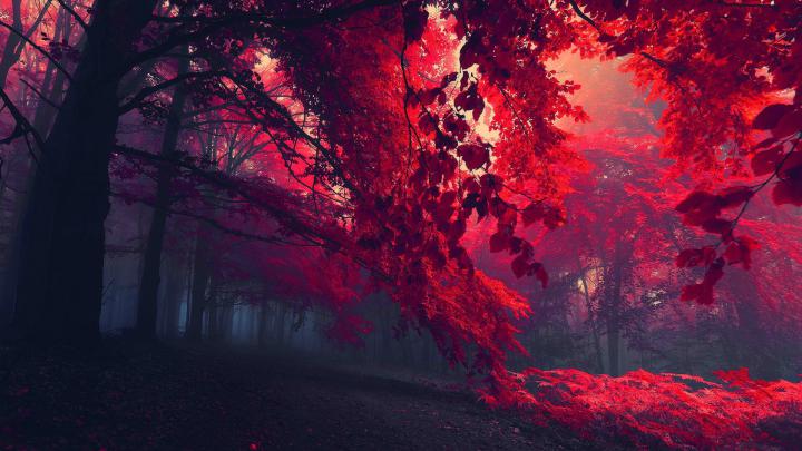 Desktop Wallpapers Pinterest -
