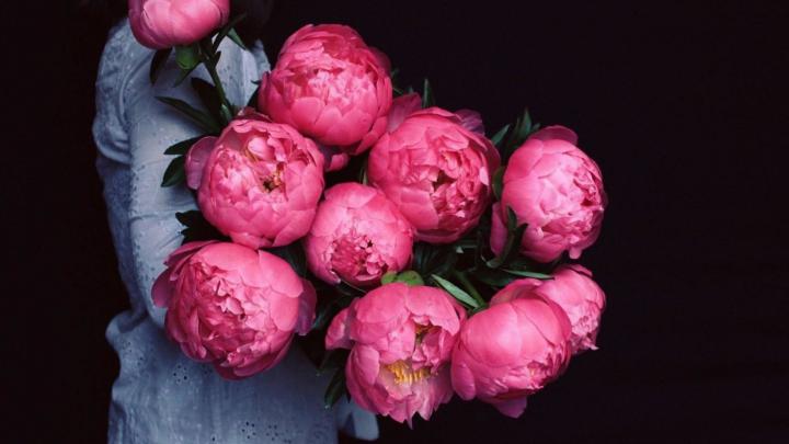 Peony Desktop Wallpaper (66+ images)