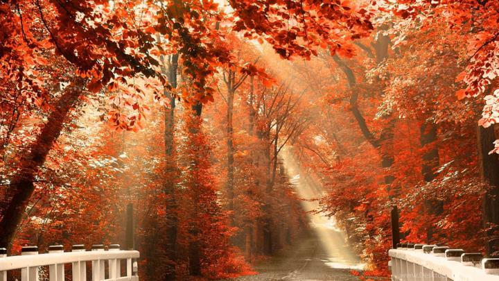 Pinterest Autumn Desktop Wallpapers