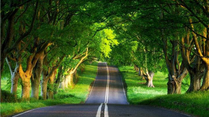 Desktop Wallpaper 1366x768 (64 images) - DodoWallpaper.