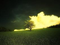 Desktop Nature Spring Wallpaper