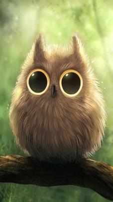 Cute Owl Wallpaper \u00b7\u2460 