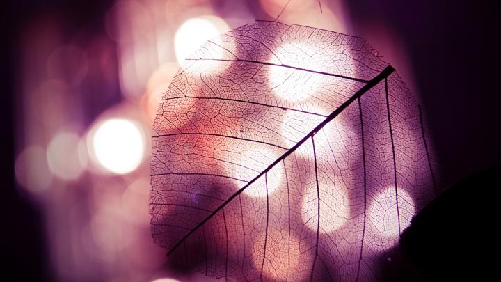 Bokeh Wallpapers
