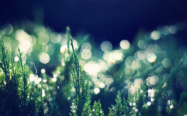 Bokeh Wallpapers