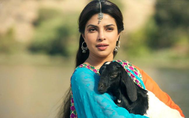 70 Hd Wallpapers For Bollywood Actress 