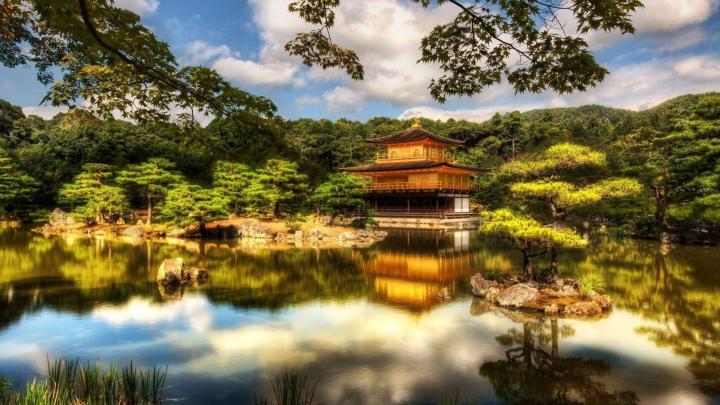 Zen Bonsai Wallpapers - Top Free Zen Bonsai Backgrounds - WallpaperAccess