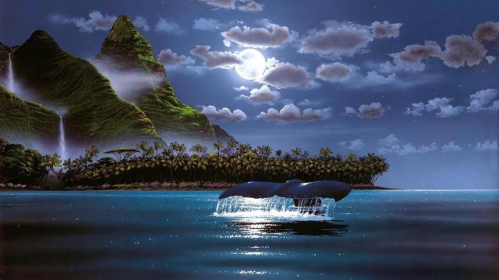 Cartoon HD Wallpapers 1080p -