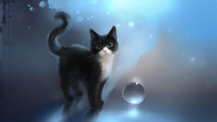 Cute Anime Cat Wallpapers - Top Free Cute Anime Cat Backgrounds 