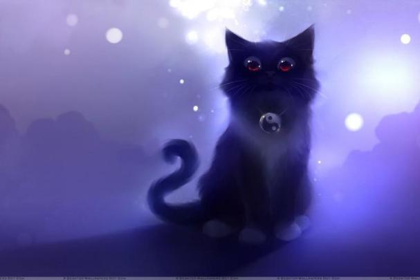 Black Cat wallpaper \u00b7\u2460 Download free cool full HD backgrounds for 