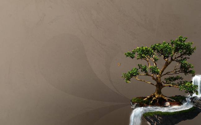Zen Bonsai Wallpapers - Top Free Zen Bonsai Backgrounds - WallpaperAccess