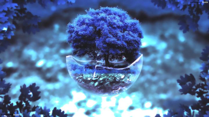 Bonsai Tree Wallpaper (67+ images)