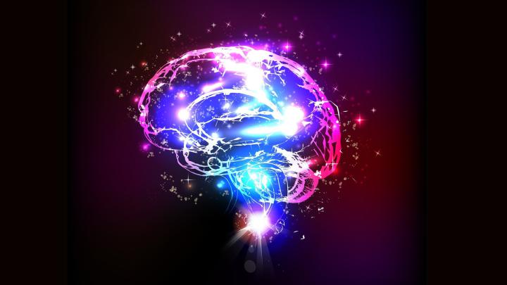 Brain Anatomy Wallpapers (62+ background pictures)
