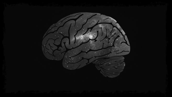 Brain Wallpapers - 4k, HD Brain Backgrounds on WallpaperBat