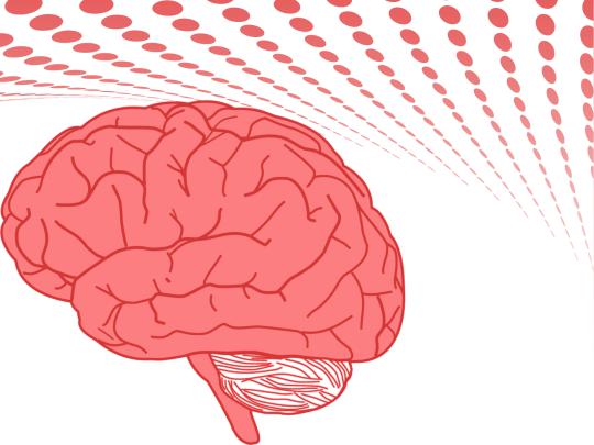 Best 50+ Brain Backgrounds on HipWallpaper | Brain Wallpaper 