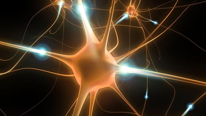Neuron Wallpapers (58+ background pictures)