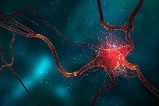 Brain wallpaper \u00b7\u2460 Download free beautiful backgrounds for desktop and 