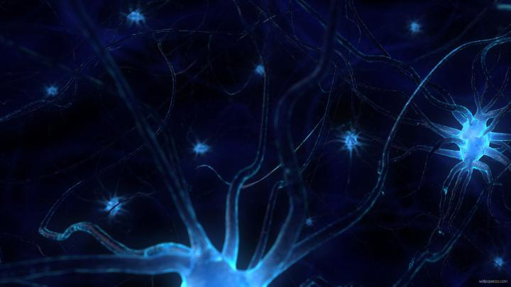 Best 50+ Brain Backgrounds on HipWallpaper | Brain Wallpaper 