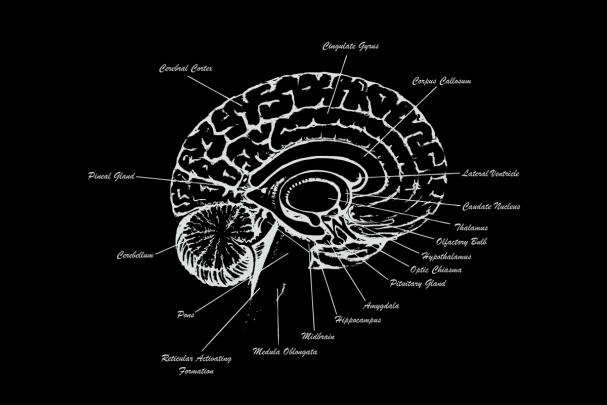 Best 57+ Brain Wallpaper on HipWallpaper | Brain Wallpaper, Artificial 