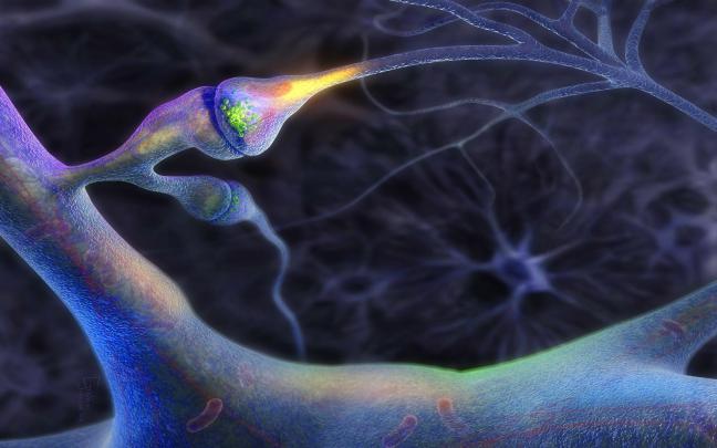 Neuron Wallpapers (58+ background pictures)