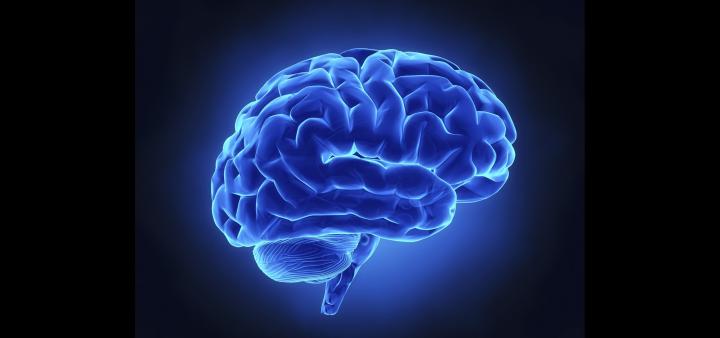 Brain wallpaper \u00b7\u2460 Download free beautiful backgrounds for desktop and 