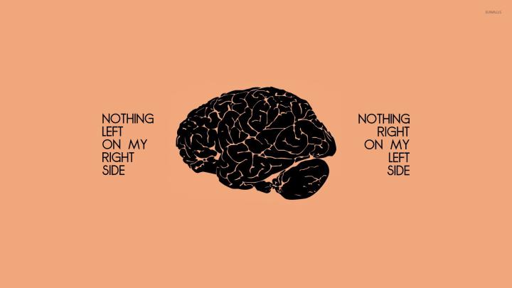 Brain Wallpapers (66+ background pictures)