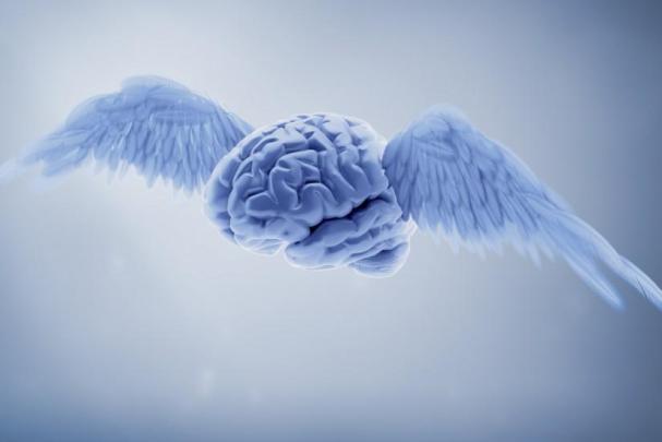 Brain wallpaper \u00b7\u2460 Download free beautiful backgrounds for desktop and 