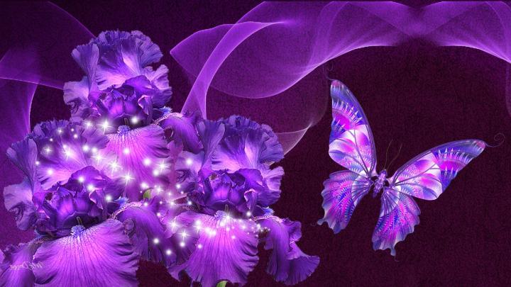 Purple Butterfly Backgrounds -