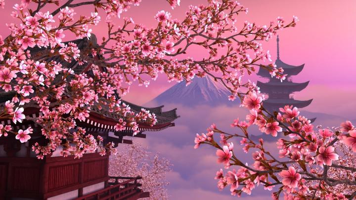 Anime Cherry Blossom Tree Wallpaper 1920x1080 - allwallpaper