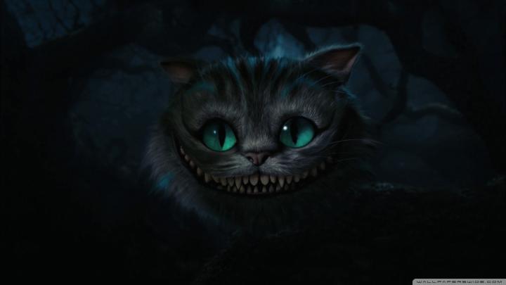 Warrior Cats wallpaper \u00b7\u2460 Download free awesome High Resolution 