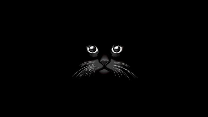 Cheshire Cat Wallpapers (65+ images)
