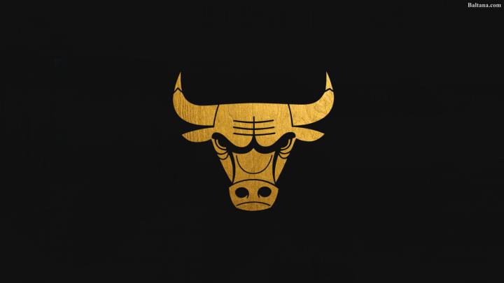 Free download Chicago Bulls Desktop Wallpaper 33435 Baltana [1920x1080 