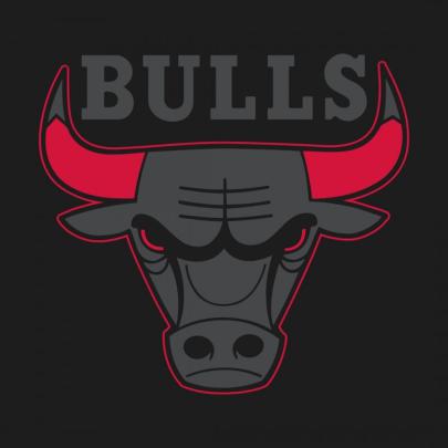 10 Top Chicago Bull Logo Wallpaper FULL HD 1080p For PC Background 2020