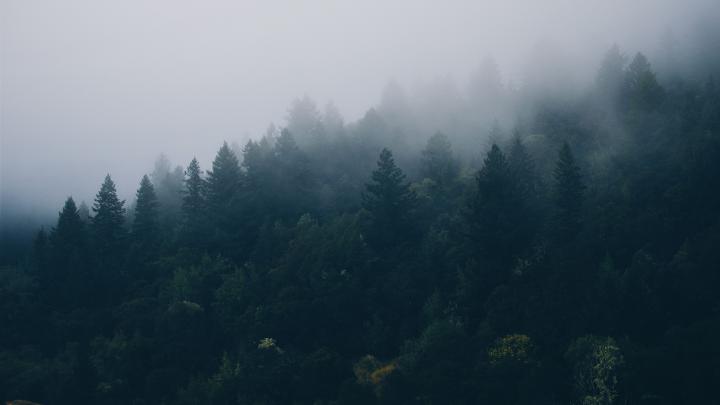 Still Chill Computer Wallpapers
