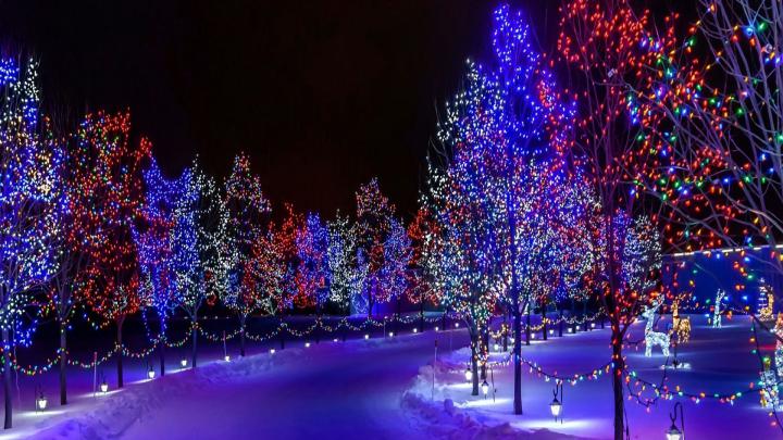 Christmas Lights Wallpaper (66+ pictures)