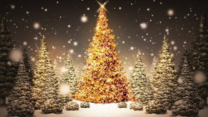 Free Wallpapers for Desktop 1920x1080 HDTV 1080p: Christmas Lights
