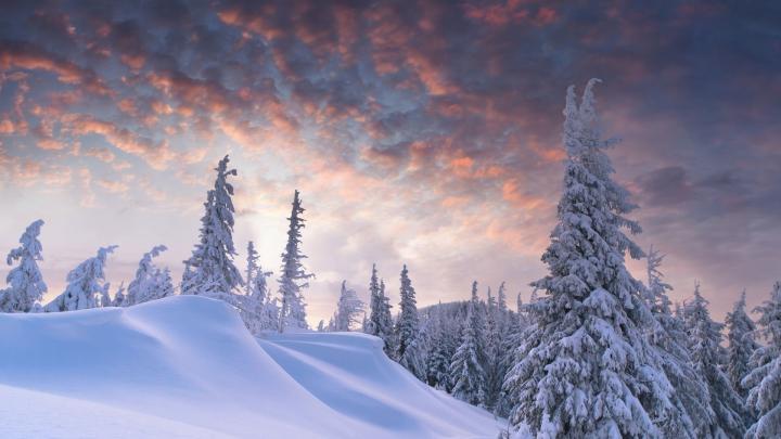 Nativity Scene Desktop Wallpaper (69+ pictures)