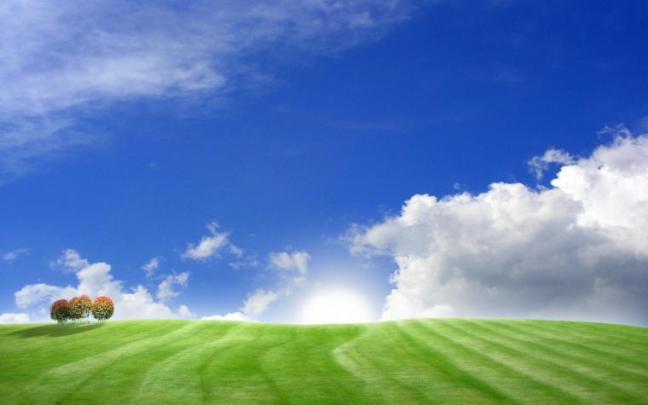 Free download Bliss Windows Wallpaper 1900x1200 Bliss Windows XP 