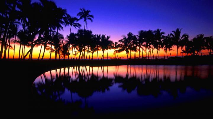 [31+] Tropical Desktop Wallpaper 1920x1080 