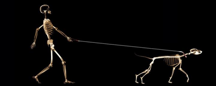 30 Amazing Creative Dual Screen Monitor HD Wallpapers