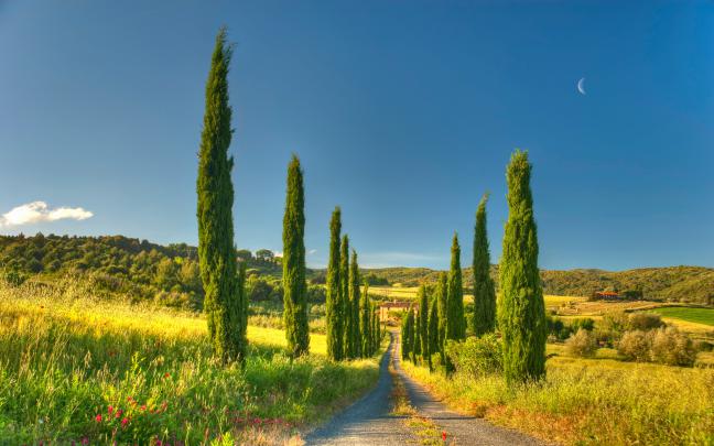 Tuscany Road Villa Cottage Country House Wallpaper Hd 6372 