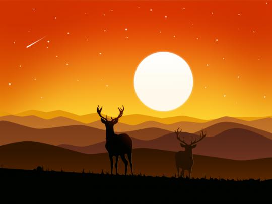 The silence of the mountains by \u5f69\u4e91Sky \ud83d\udd25 on Dribbble
