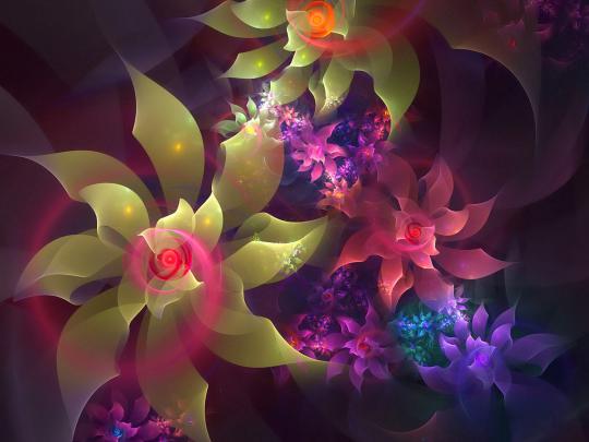wallpapers: 3D Flowers Wallpapers