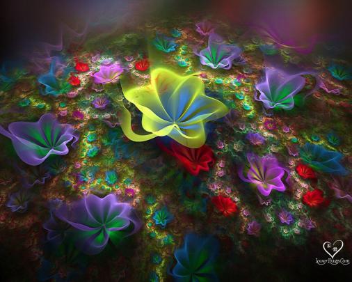 3D Flower Wallpapers for Desktop -