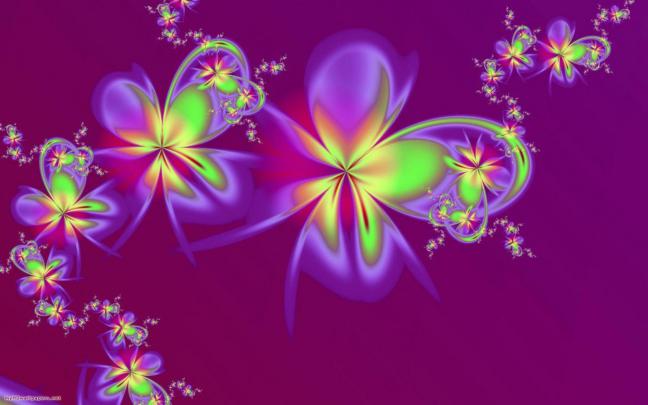 Rainbow Flower Wallpapers