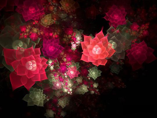 wallpapers: 3D Flowers Wallpapers