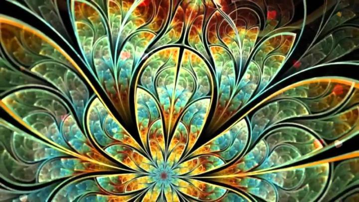 Most Beautiful Flowers Wallpapers 3d 2 - YouTube